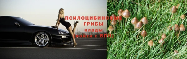 винт Балахна