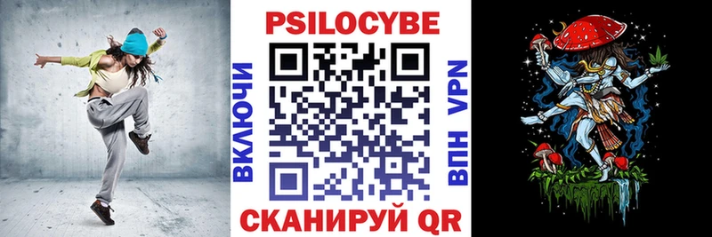 omg маркетплейс  Горно-Алтайск  Псилоцибиновые грибы мицелий 